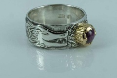 Ring-drake