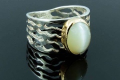 Sagad_ring