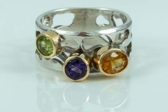 Sagad_ring3